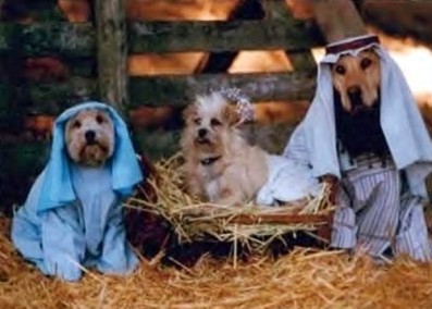 http://kittymowmow.files.wordpress.com/2007/12/christmas-with-the-wise-dog-men.jpg?w=397&h=285